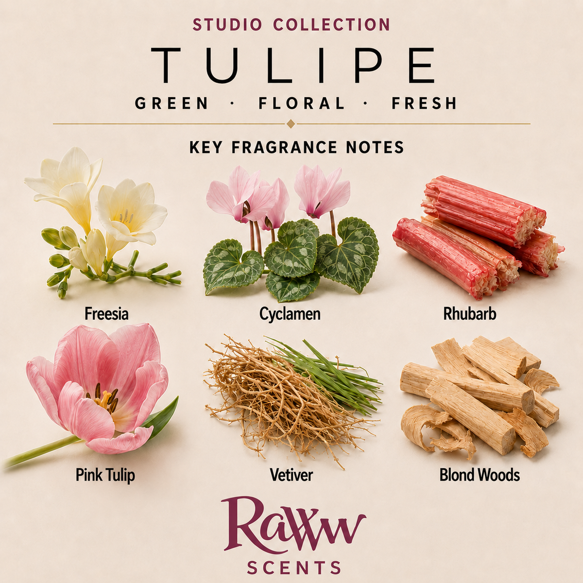 Tulipe fragrance notes