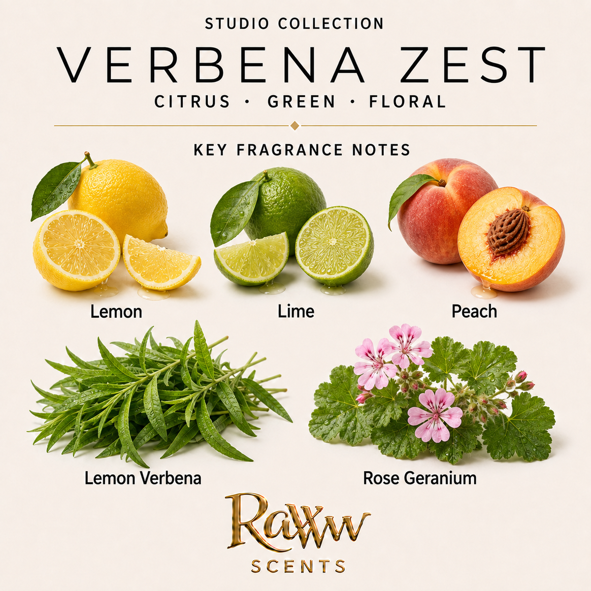 Verbena Zest fragrance notes
