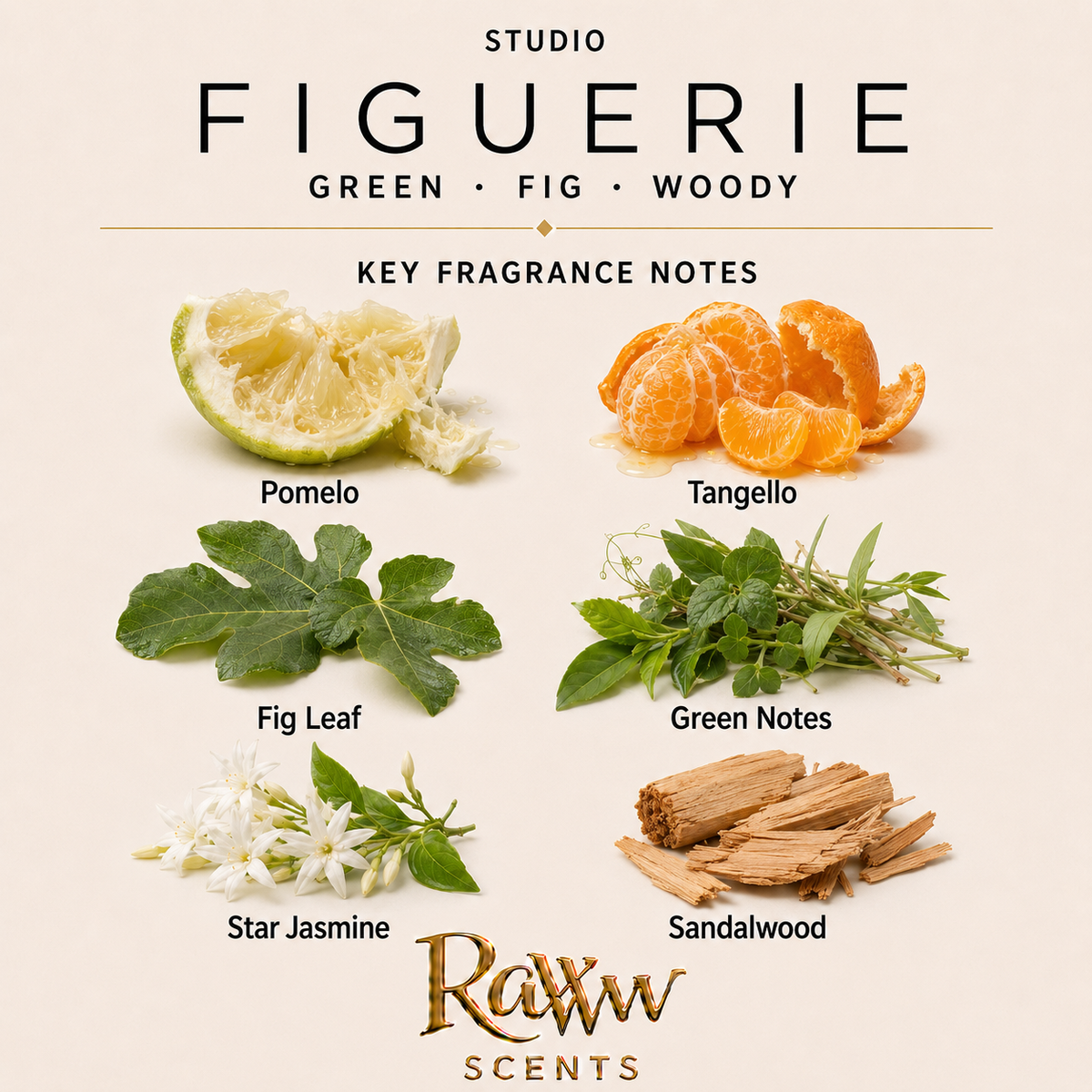 Figuerie fragrance notes