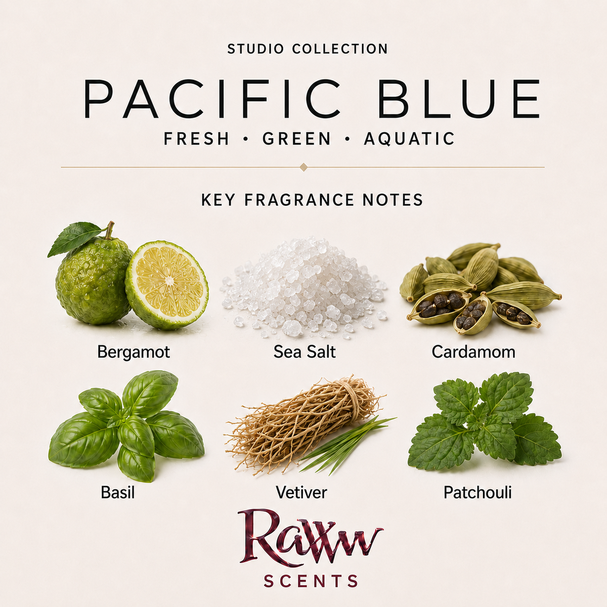 Pacific Blue fragrance notes