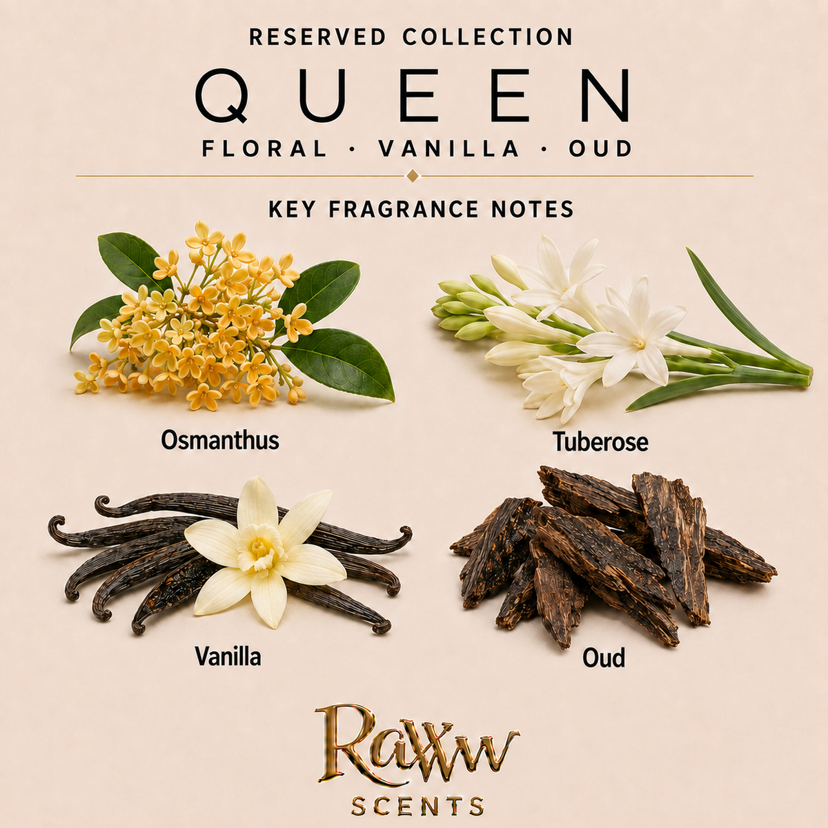 Queen fragrance notes