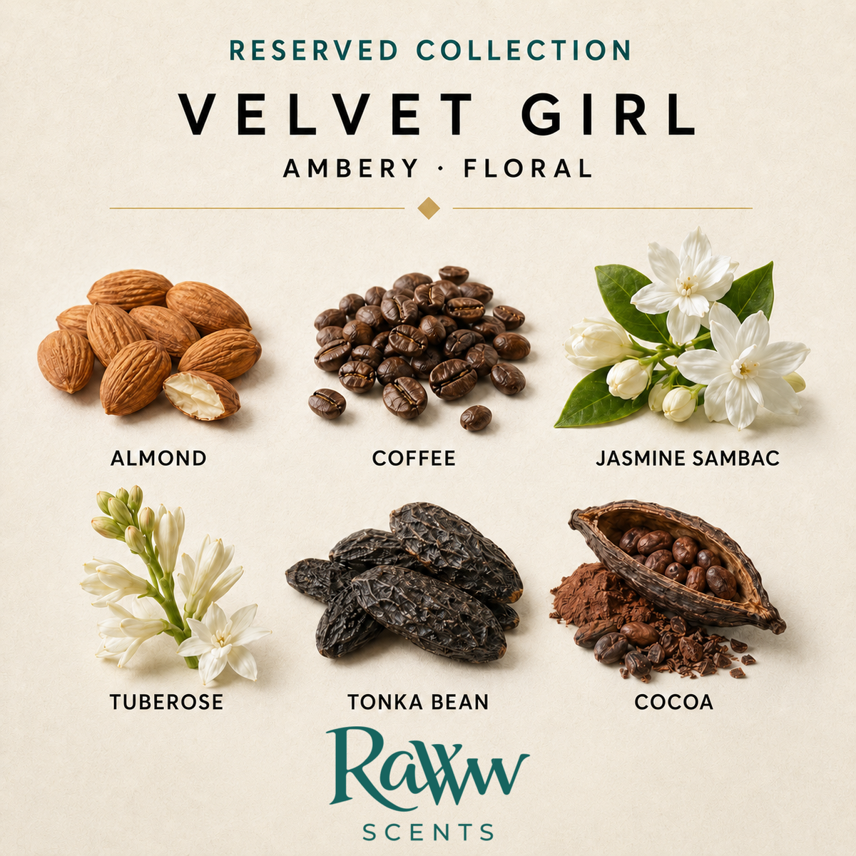 Velvet Girl fragrance notes