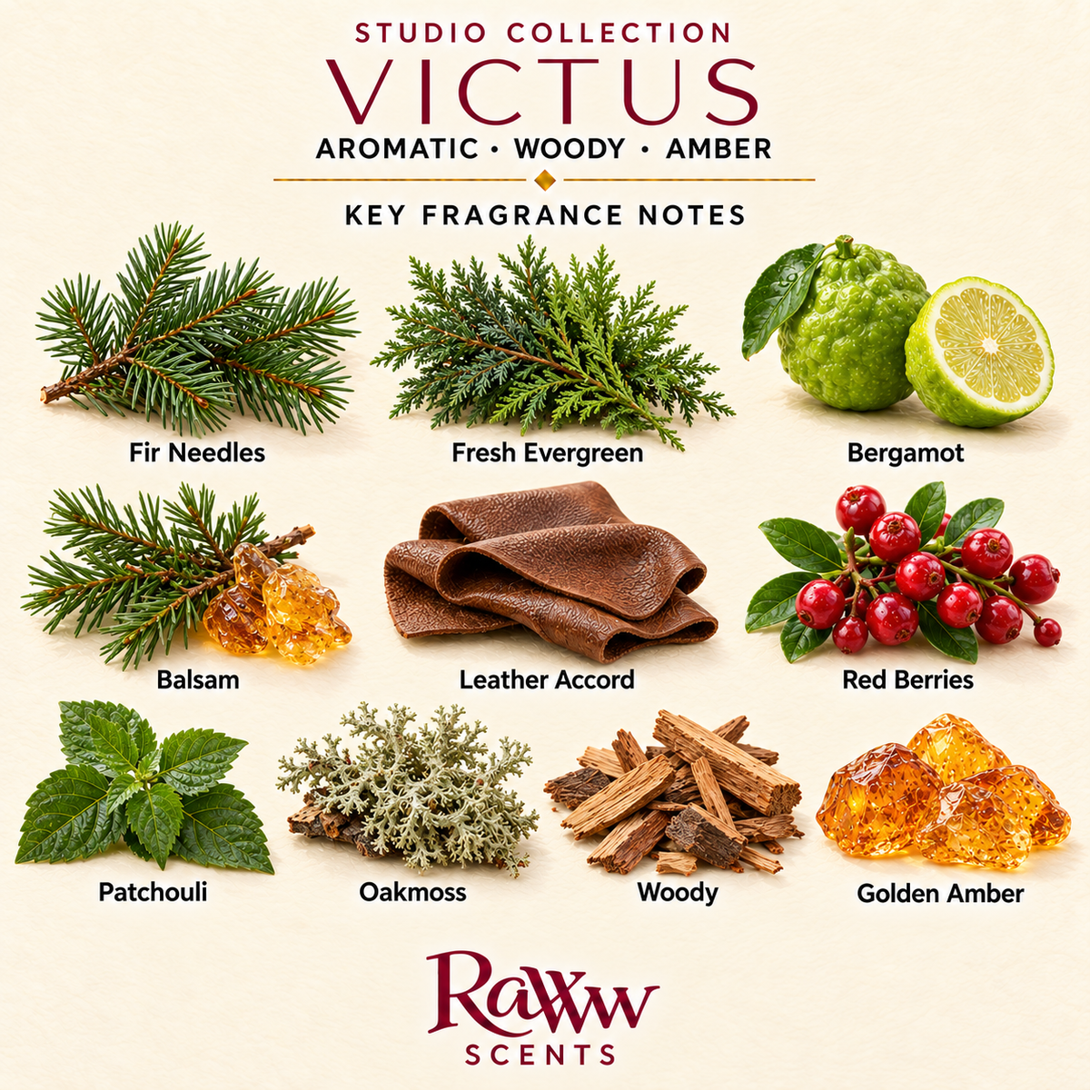 Victus: Designer Perfume Inspired Diffuser Refill – 250 mL