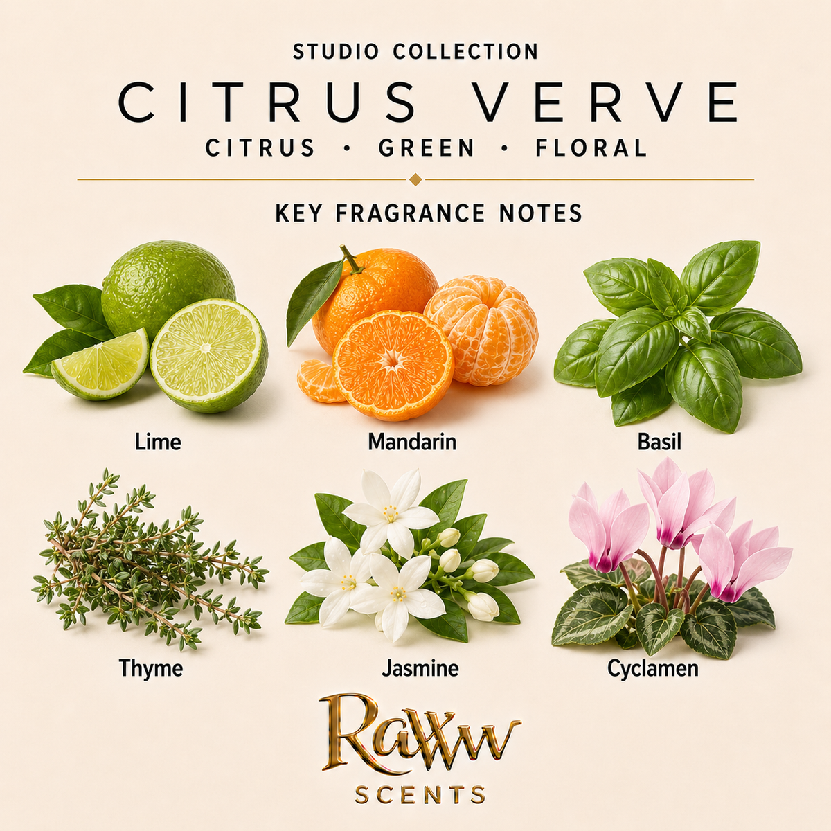 Citrus Verve: Designer Perfume Inspired Diffuser Refill – 250 mL